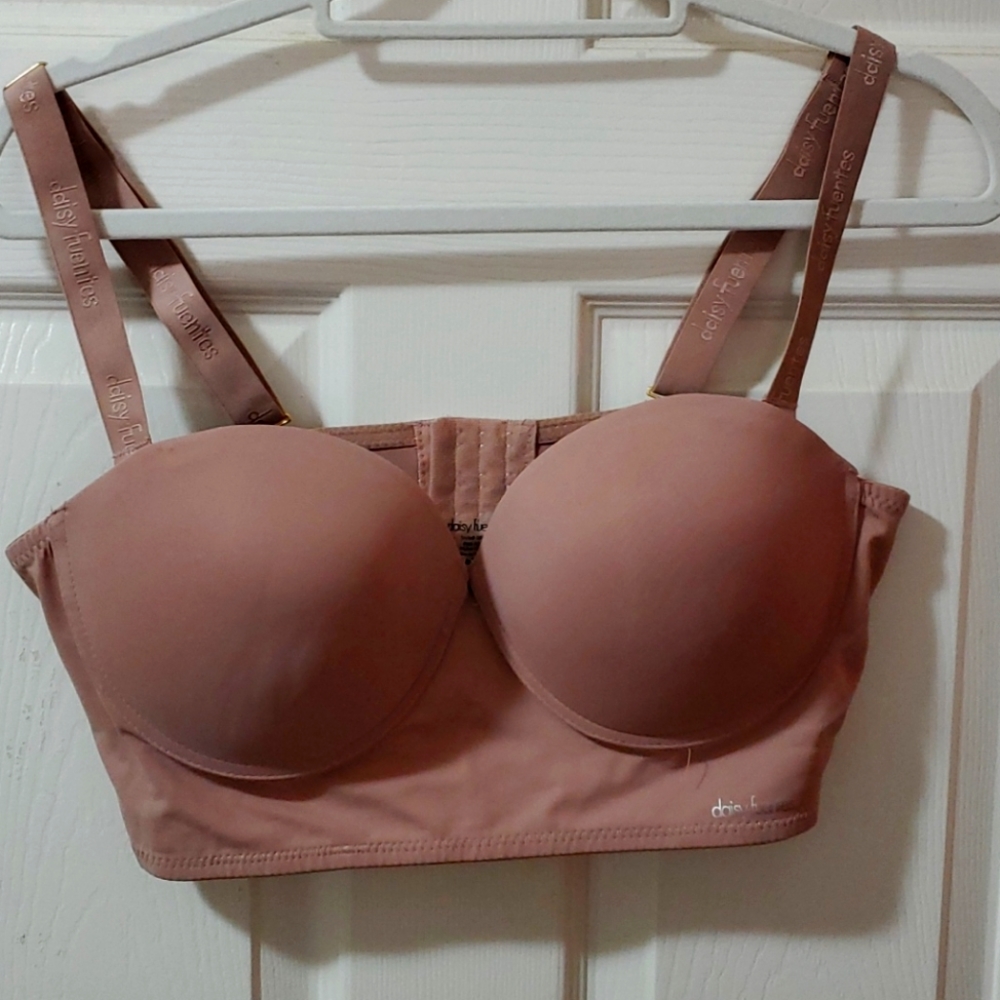 Daisy Fuentes Bra